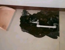 新野卫生间测漏水多少钱
